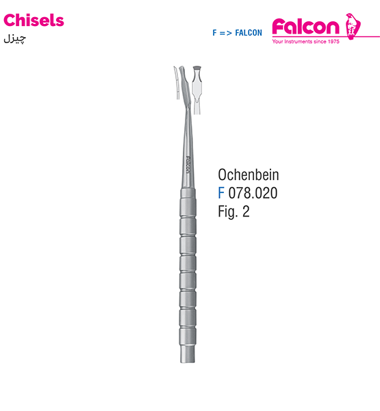 چیزل اوشن بین راست//فالکن-Falcon