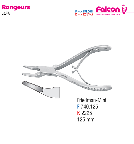 رانژور مینی فریدمن//کوشا-Kousha/فالکن-Falcon