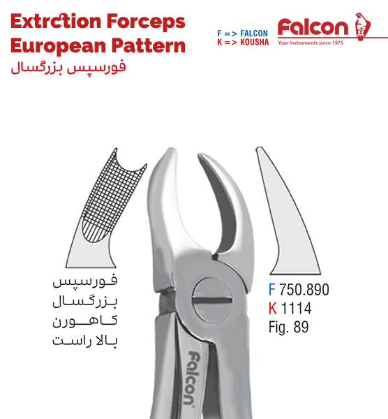 فورسپس کاهورن بالا راست//کوشا-Kousha/فالکن-Falcon