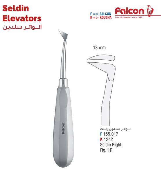 الواتر سلدین راست//کوشا-Kousha/فالکن-Falcon