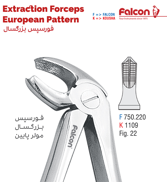 فورسپس مولر پایین//کوشا-Kousha/فالکن-Falcon