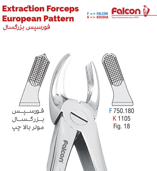 فورسپس مولر بالا چپ//کوشا-Kousha/فالکن-Falcon