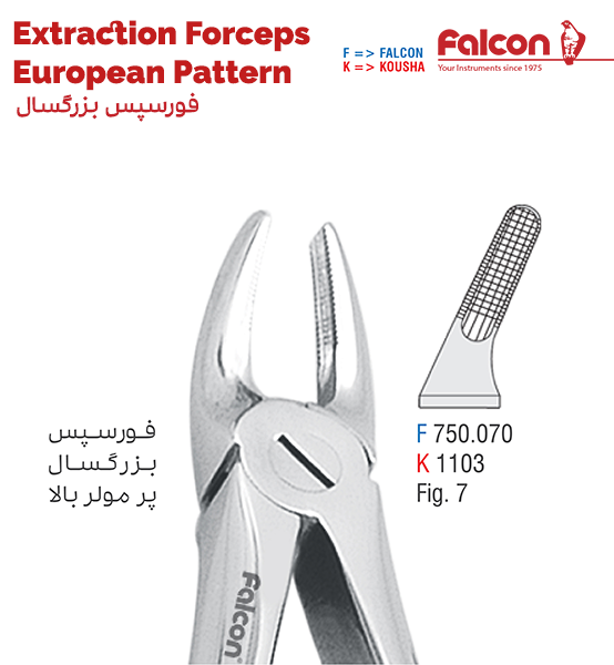 فورسپس پر مولر بالا//کوشا-Kousha/فالکن-Falcon