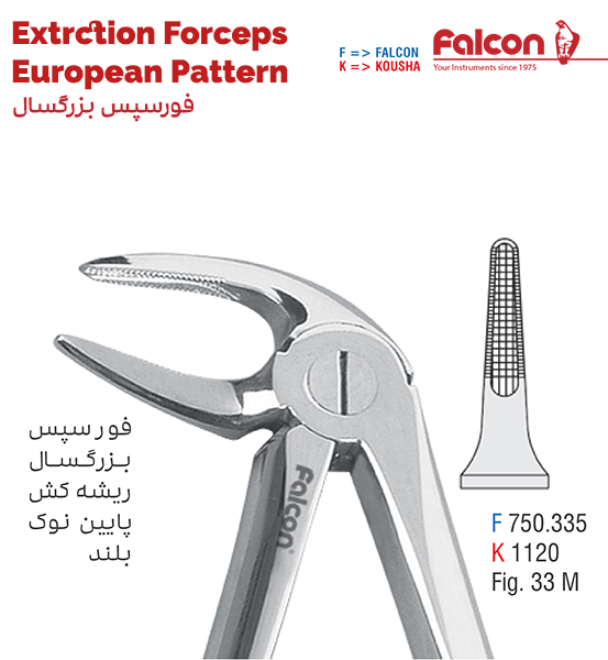 فورسپس ریشه کش پایین نازک//کوشا-Kousha/فالکن-Falcon