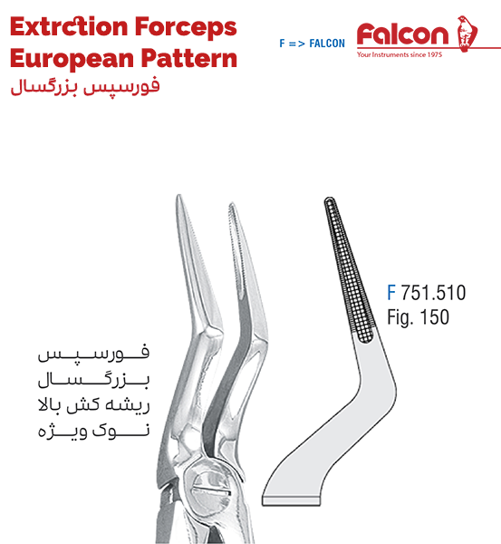 فورسپس ریشه کش بالا نوک ویژه//فالکن-Falcon