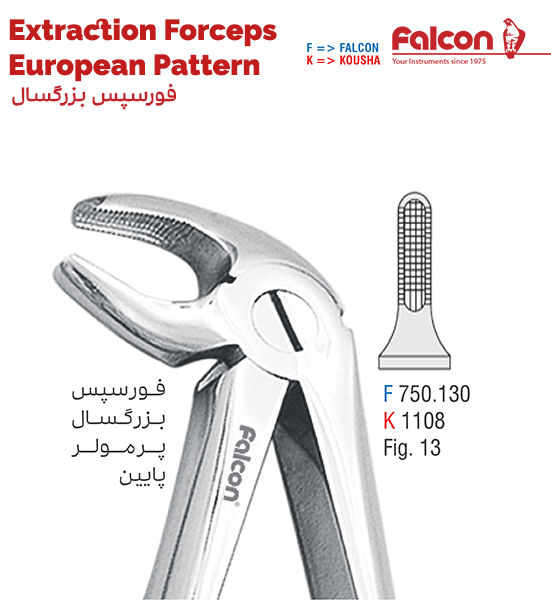 فورسپس پر مولر پایین//کوشا-Kousha/فالکن-Falcon