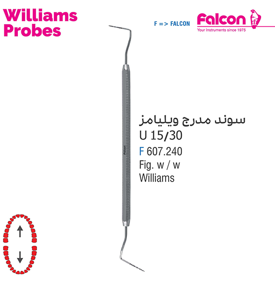 سوند مدرج ویلیامز//فالکن-Falcon