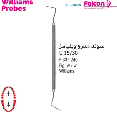سوند مدرج ویلیامز//فالکن-Falcon