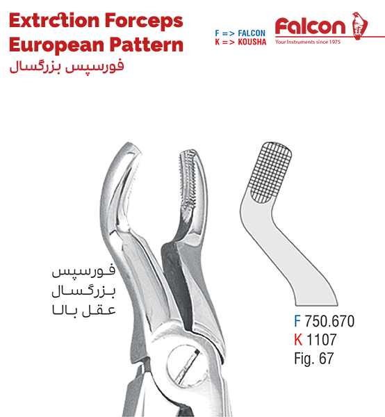 فورسپس عقل بالا//کوشا-Kousha/فالکن-Falcon
